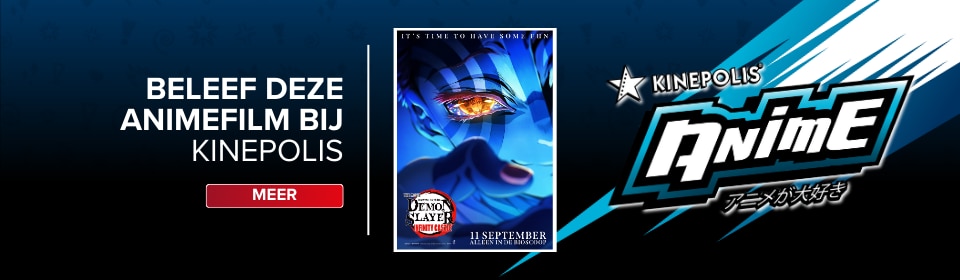Demon Slayer - meer anime