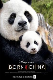 Born In China Filmposter van Born In China