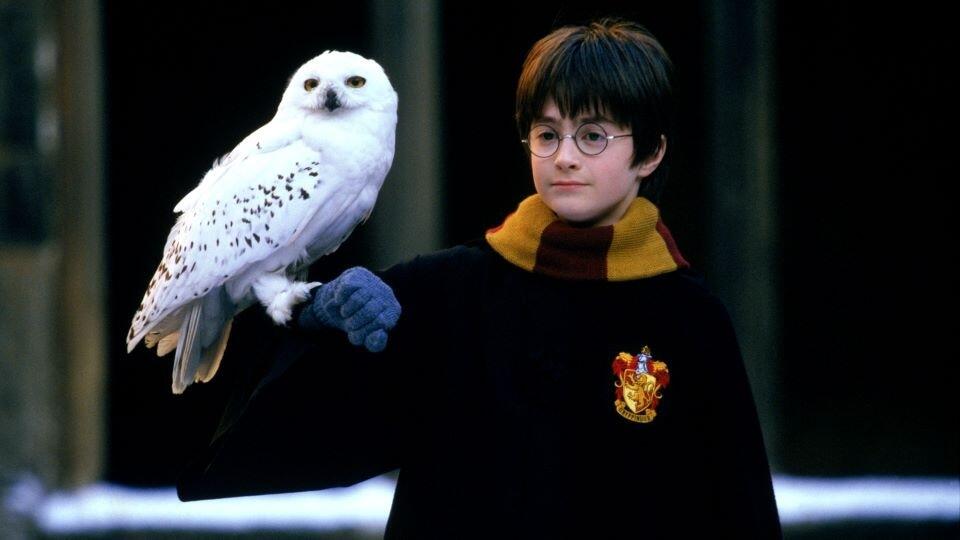 Still 1 uit de film Klassieker: Harry Potter 1 (20 jaar)
